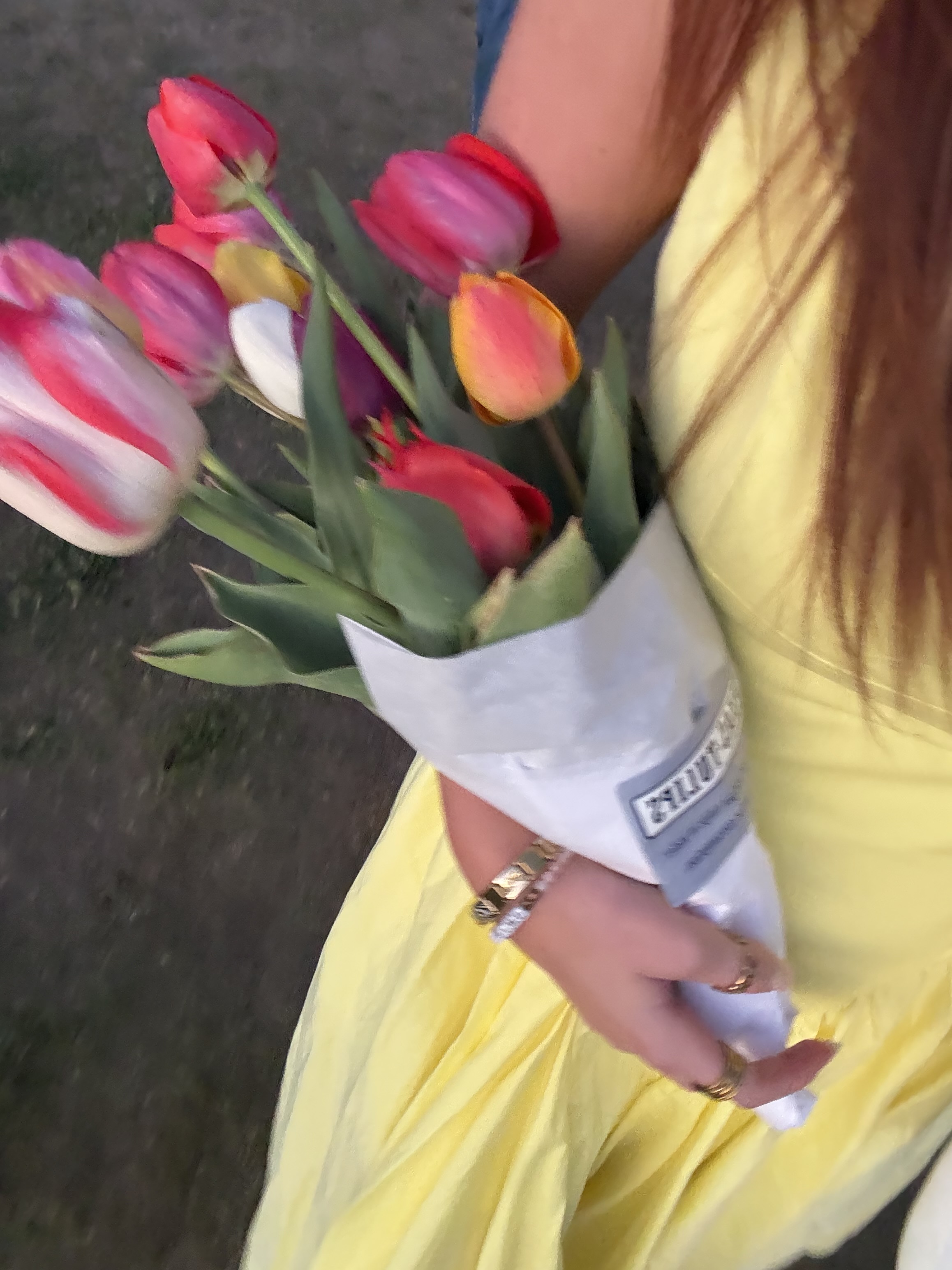 A Bloom-Filled Escape: Texas Tulips